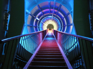 Steps to the future