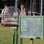 Paramaribo - Vogelzang - Uitslag