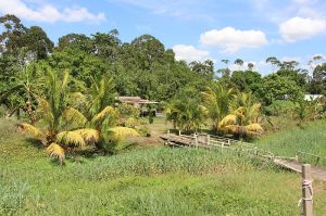Paramaribo - Leiding16