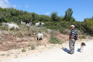 Samos - Geitenhoeder