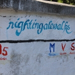 Samos - Nigthingalewalks