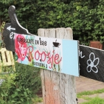 Foto en natuur workshop - restaurant 't Roosje
