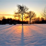 Sneeuw in Groesbeek (foto: Piet Spanjers)
