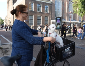 Vrouw met hondje bij de Westertoren